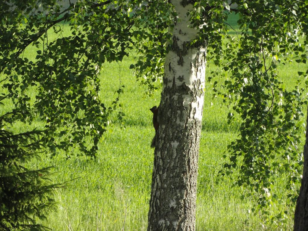 Kalliomajat Ylivalli Kültér fotó